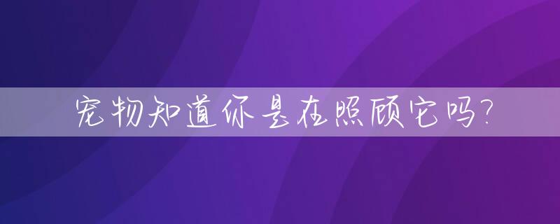 宠物知道你是在照顾它吗?_宠物知道你是在照顾它吗英文